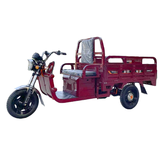 Triciclo de carga eléctrico Fengri con cobertizo simple