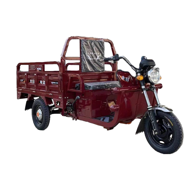 Triciclo eléctrico Fengri para pasajeros con batería de plomo y ácido, batería de litio